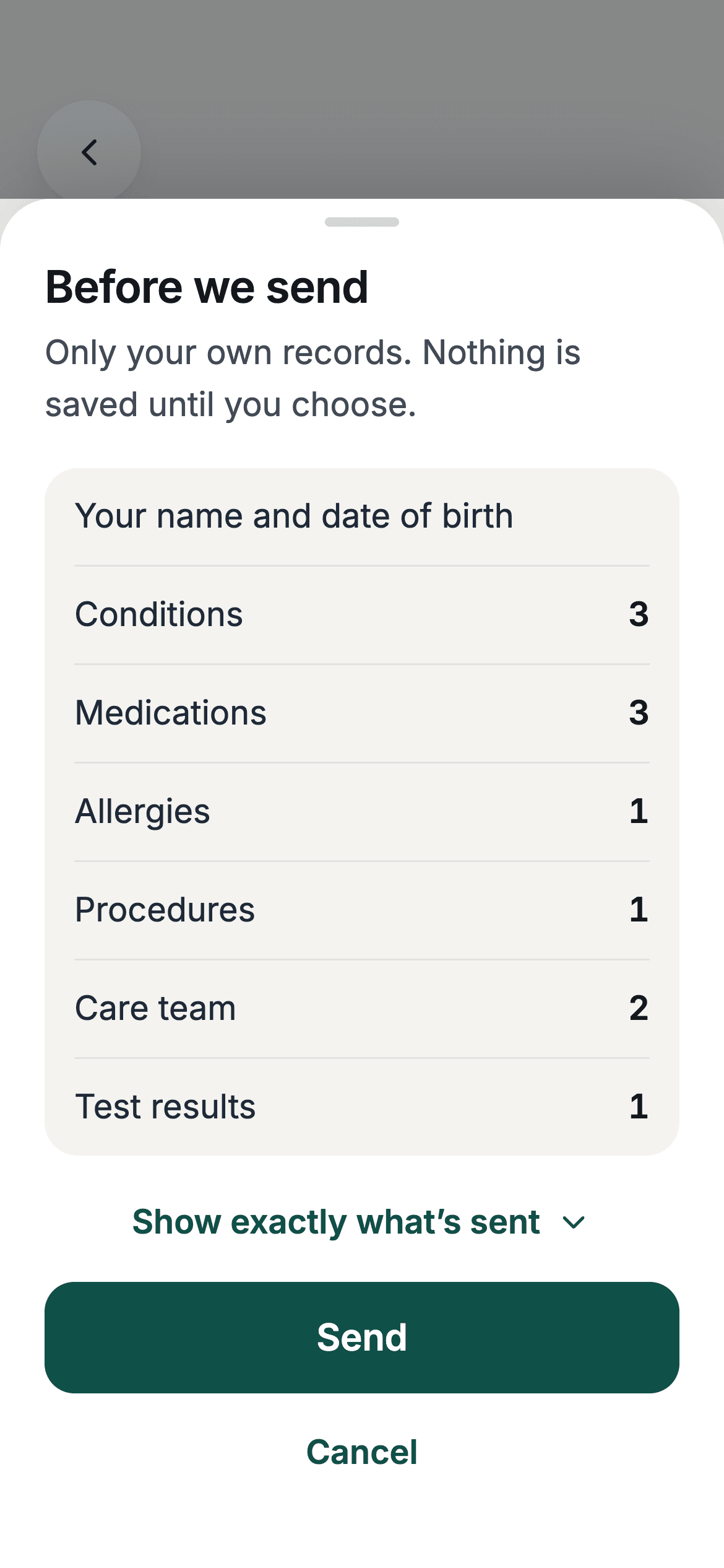 MedVault’s Before we send to the AI sheet: what will be sent, a link to show exactly what’s sent, and Send to the AI or Cancel.